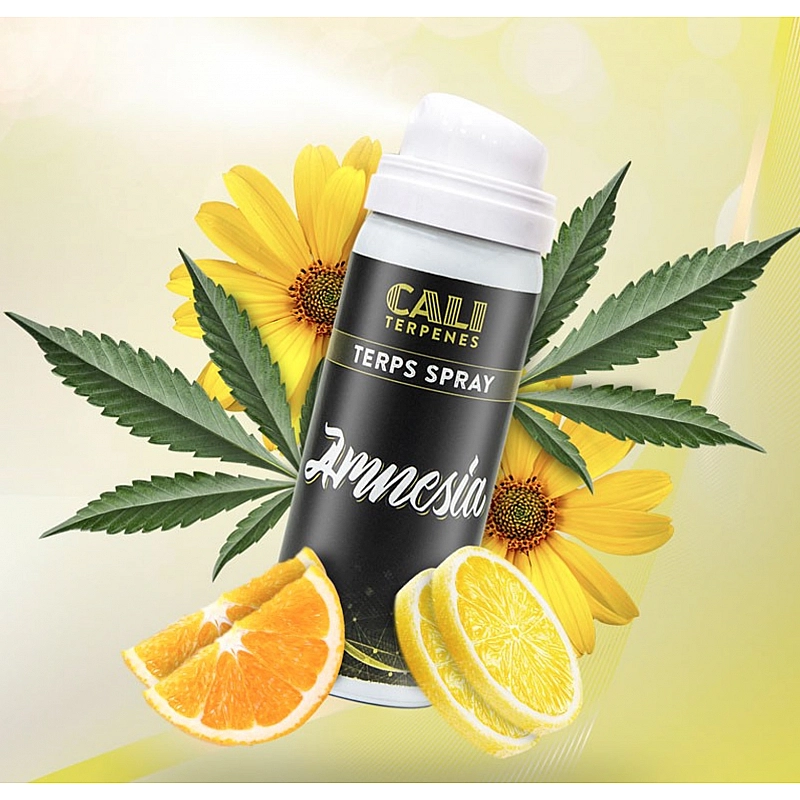 Cali Terpenes Terps Spray Amnesia
