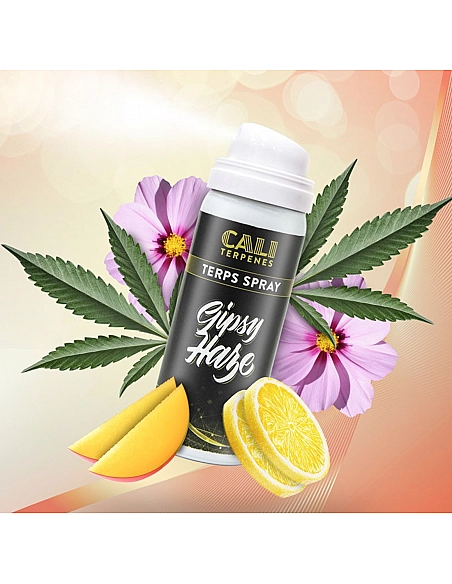 Cali Terpenes Terps Spray Gispsy Haze
