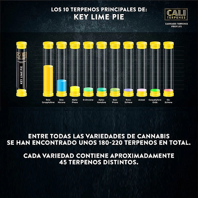 Cali Terpenes Terpenos Key Lime Pie