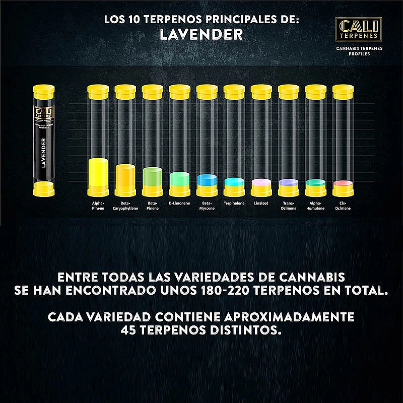 Cali Terpenes Terpenos Lavender