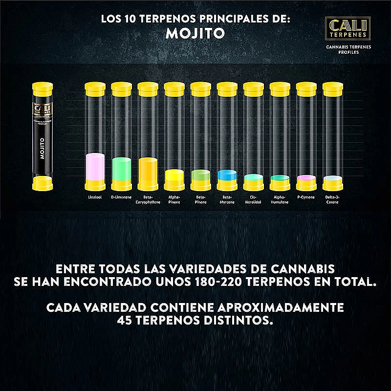 Cali Terpenes Terpenos Mojito