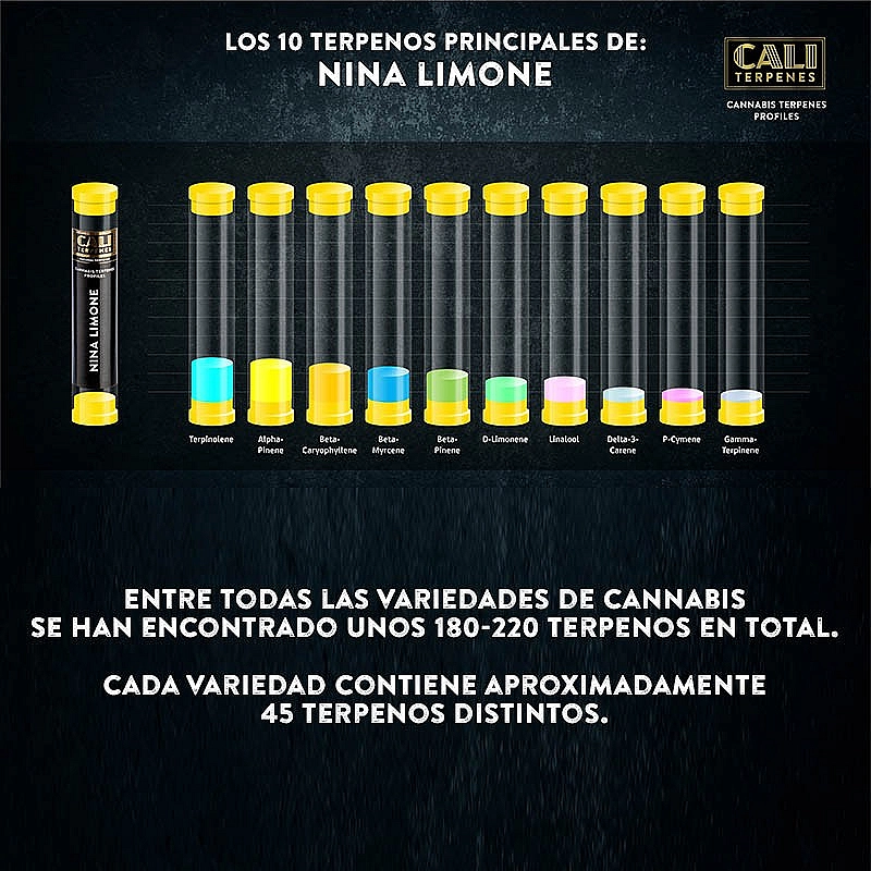 Cali Terpenes Terpenos Nina Limone