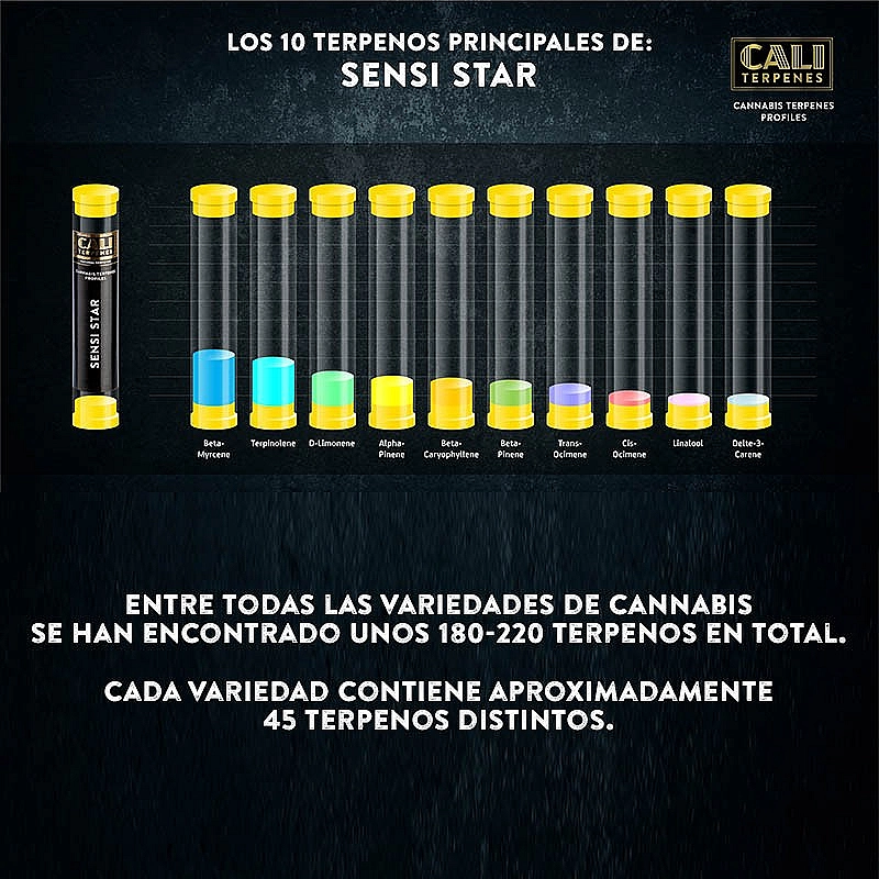 Cali Terpenes Terpenos Sensi Star