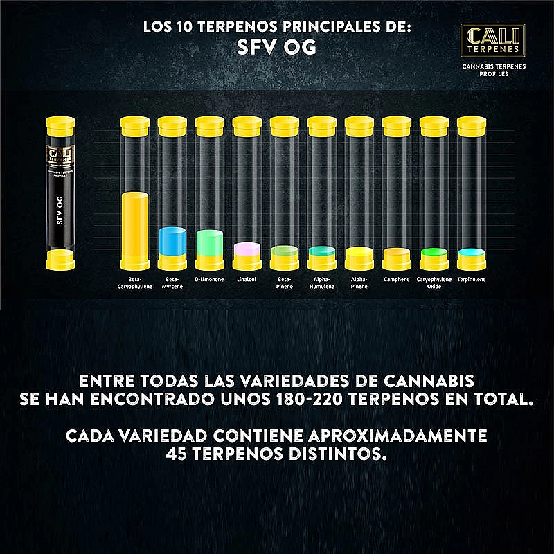 Cali Terpenes Terpenos SFV OG