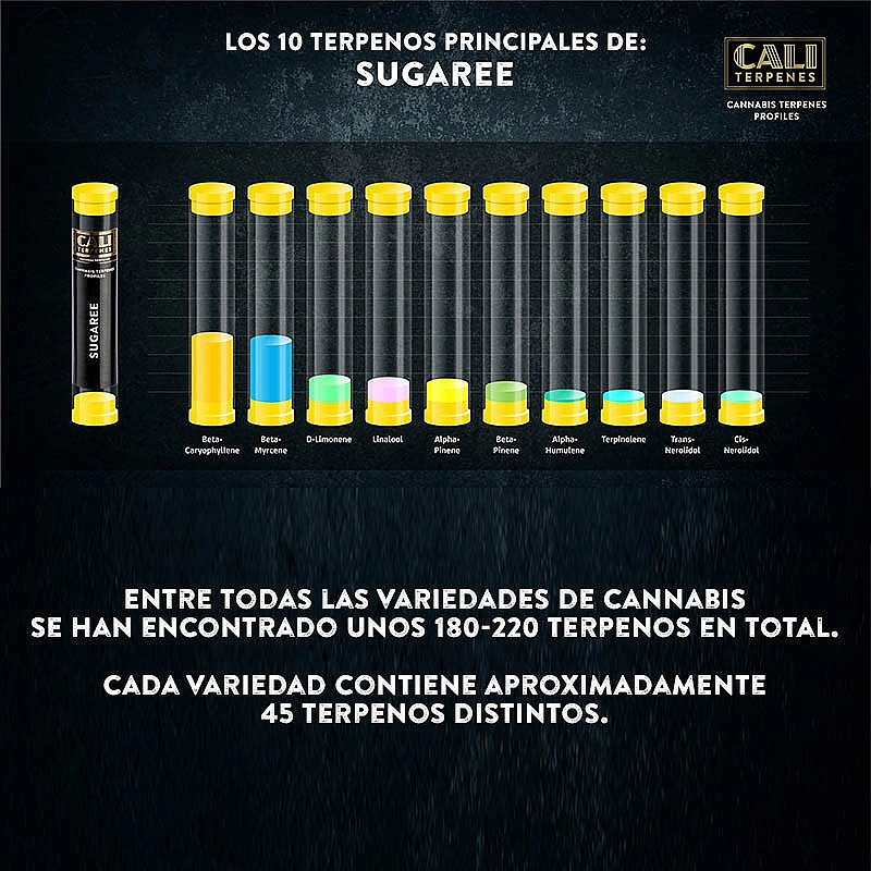 Cali Terpenes Terpenos Sugaree