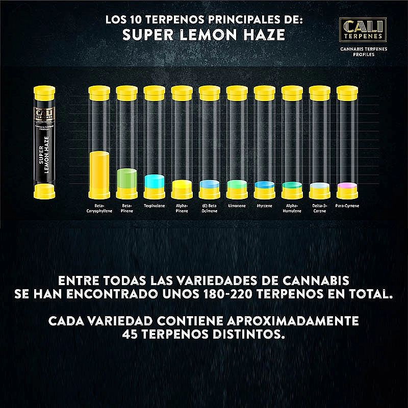 Cali Terpenes Terpenos Super Lemon Haze