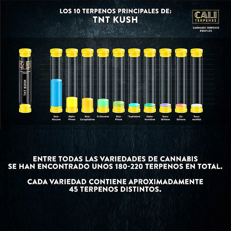 Cali Terpenes Terpenos Tnt Kush