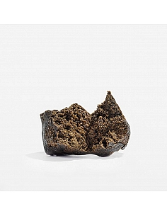 The Tree CBD Charas CBD Hash