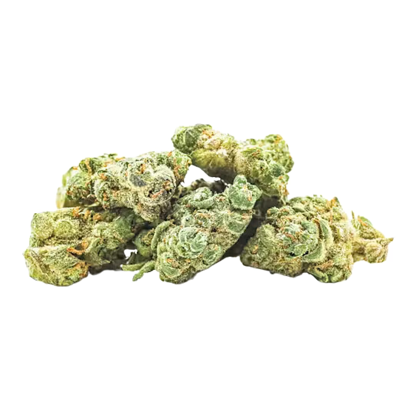 Maritrini CBD Pop Corn JEREMY SCOUT