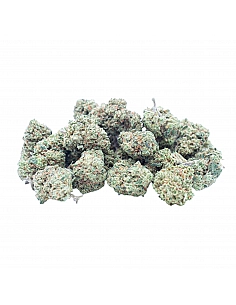 Maritrini CBD Pop Corn...