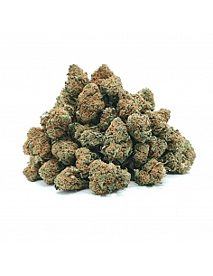 Maritrini CBD Pop Corn...