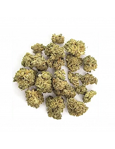 Maritrini CBD Pop Corn TANGIE