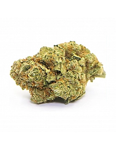 Maritrini CBD GELATO