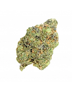 Maritrini  CBD MANGO HAZE