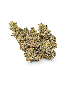 Maritrini CBD JASMINE...
