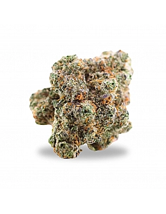 Maritrini CBD  GODZILLA...