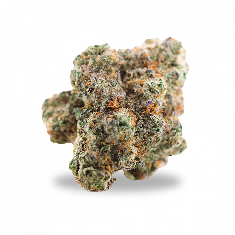 Maritrini CBD  GODZILLA HYDROPONICA CBD