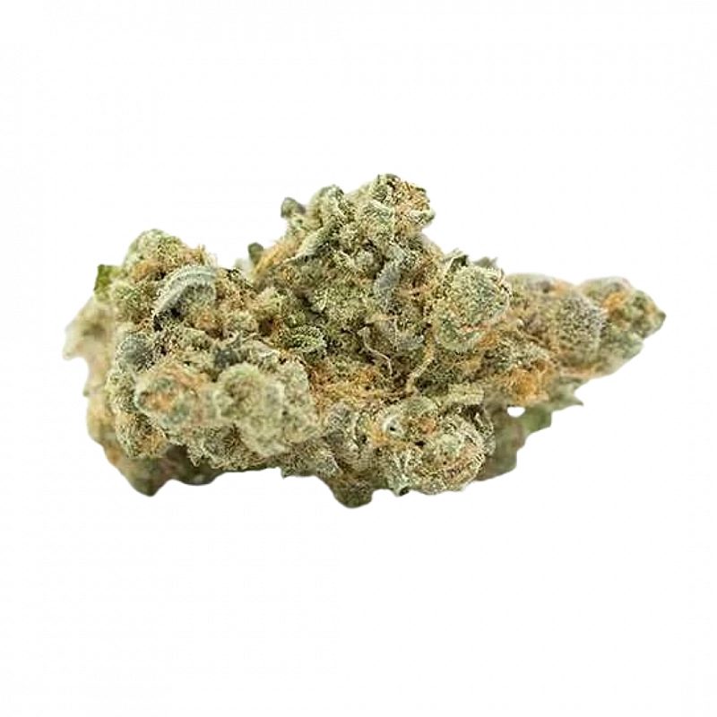 Maritrini CBD KRYPTONITE HYDROPONICA
