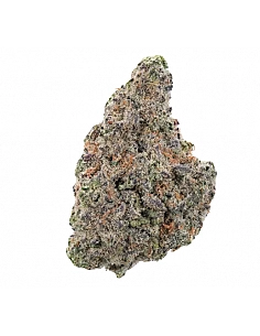 Maritrini CBD  WHITE RHYNO...