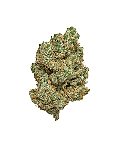Maritrini CBD AMNESIA HYDRO