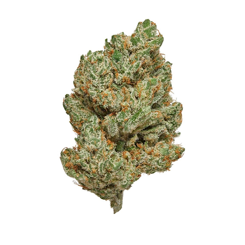 Maritrini CBD AMNESIA HYDRO
