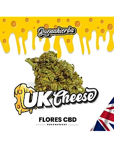 Buenahierba CBD UK Cheese...