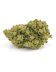 De Pata Verde Amnesia Hydro...