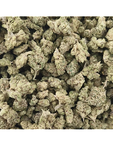 THE GREEN MUSE CBD POP CORN SCREAM