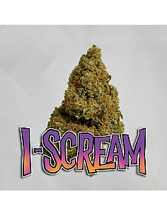 THE GREEN MUSE CBD POP CORN...