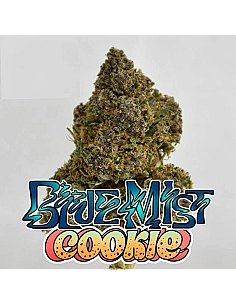 THE GREEN MUSE CBD POP CORN...