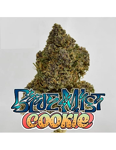 THE GREEN MUSE CBD POP CORN BLUE MIST...