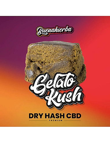 Buenahierba Polen CBD Gelato Kush