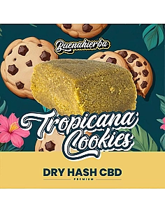 Buenahierba Polen CBD...