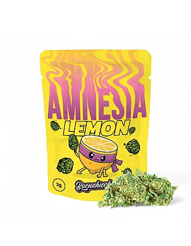 Buenahierba CBD Amnesia Lemon