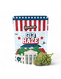 Buenahierba  CBD G13 Haze