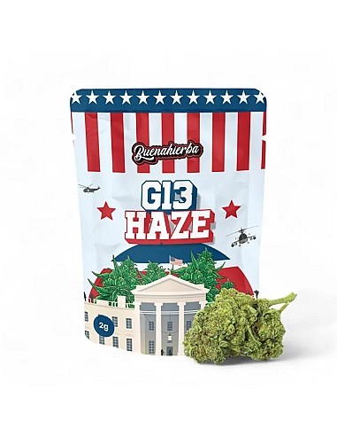 Buenahierba  CBD G13 Haze