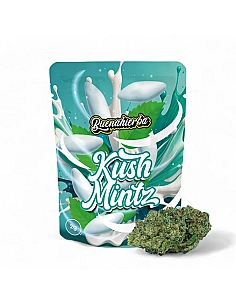 Buenahierba CBD Kush Mintz