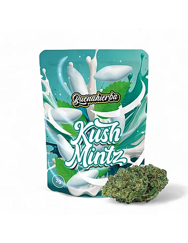 Buenahierba CBD Kush Mintz