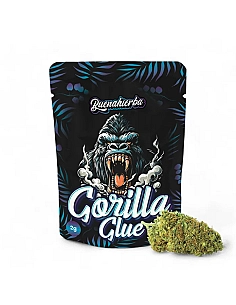 Buenahierba CBD Gorilla Glue