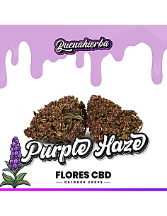 Buenahierba  CBD Purple Haze