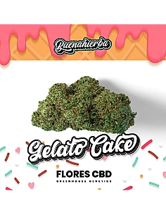 Buenahierba CBD Gelato Cake