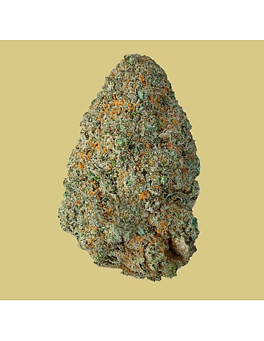THE GREEN MUSE COGOLLO DE  CBD 15%...