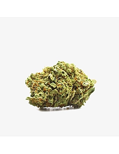 The Tree CBD  Fresh Kase