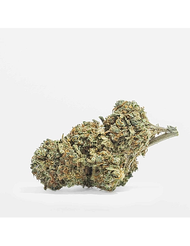 The Tree CBD  UK Cheese