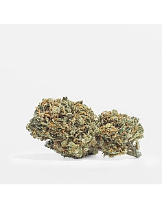 The Tree CBD  UK Cheese