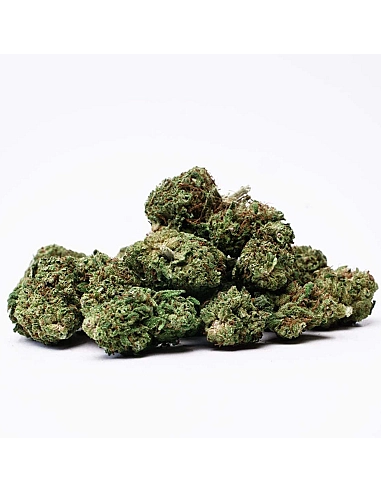 The Tree CBD Small Buds  Gelatto