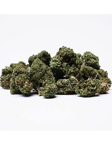 The Tree CBD Small Buds OG Kush