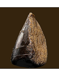 THE GREEN MUSE HASH...