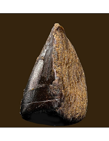 THE GREEN MUSE HASH JAMAICAN 30% CBD