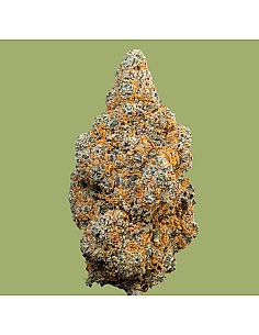 THE GREEN MUSE CBD POP CORN V1